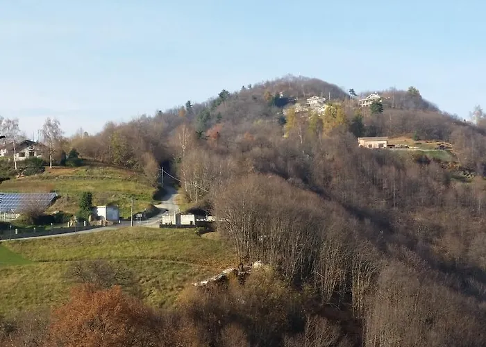 Апартаменты Orchidea *